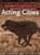 ACTING CITIES, RADDATZ,  Frank - Paperback - 9783895814129