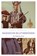 Badische Blutsbrüder, Ralf H. Dorweiler - Paperback - 9783897056831