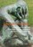 Scheme Dynamics, LENK,  Hans - Paperback - 9783897334274