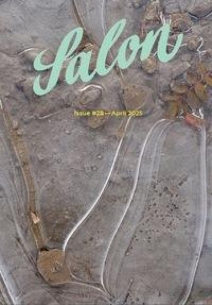 Salon, Gerhard Theewen - Paperback - 9783897706033