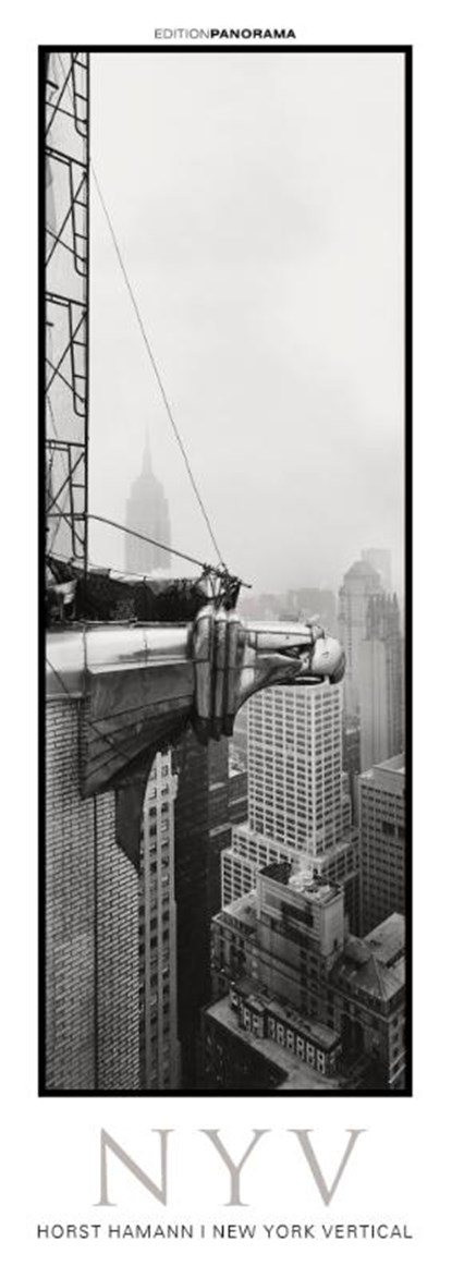 New York Vertical, Horst Hamann - Paperback - 9783898236270