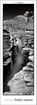 Nature, Helmut Hirler - Paperback - 9783898236294
