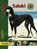 PraxisRatgeber Saluki, Iris Schmidt - Gebonden - 9783898600170