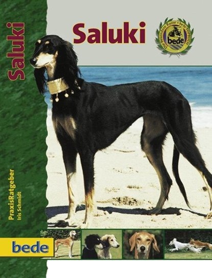 PraxisRatgeber Saluki, Iris Schmidt - Gebonden - 9783898600170