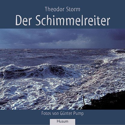 Der Schimmelreiter, Theodor Storm - Paperback - 9783898761444