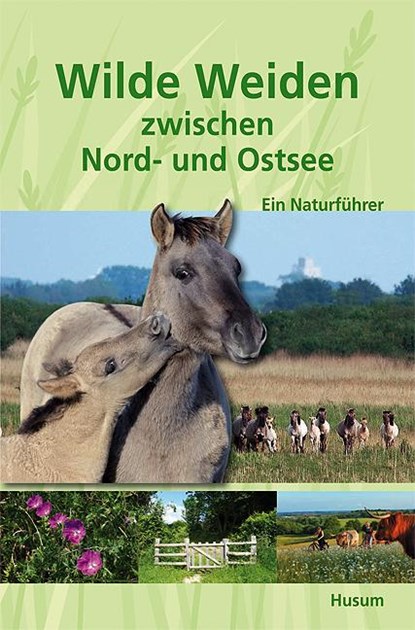 Wilde Weiden zwischen Nord- und Ostsee, Helge Neumann - Paperback - 9783898765565