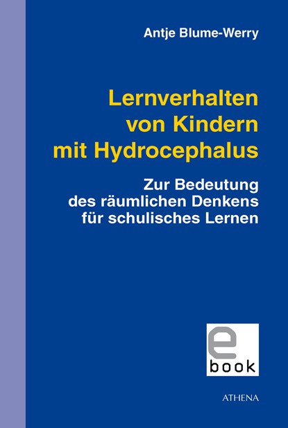 Lernverhalten von Kindern mit Hydrocephalus, Antje Blume-Werry - Ebook Adobe PDF - 9783898967594