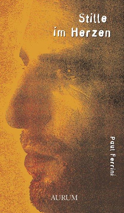 Stille im Herzen, Paul Ferrini - Gebonden - 9783899014600