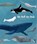 Die Welt der Wale, Darcy Dobell - Gebonden - 9783899558296