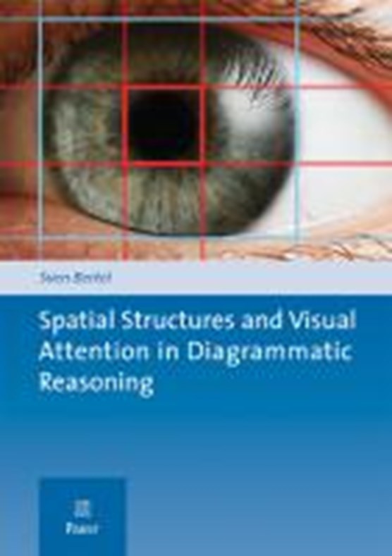 Spatial Structures and Visual Attention in Diagrammatic Reasoning