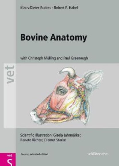 Bovine Anatomy, Klaus Dieter (University of Berlin Budras ; Robert E. Habel ; Christoph K. W. (University of Leipzig Mulling ; Paul R. (University of Saskatchewan Greenough - Gebonden - 9783899930528