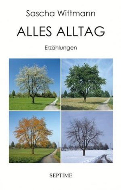 Alles Alltag, Sascha Wittmann - Ebook - 9783903061828