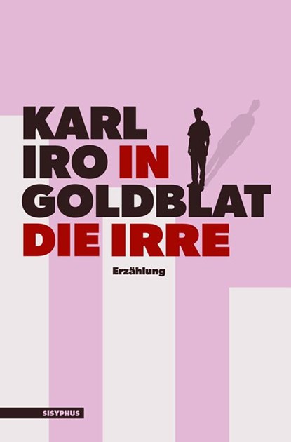 In die Irre, Karl Iro Goldblat - Paperback - 9783903125902