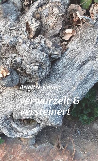 verwurzelt & versteinert, Brigitte Knapp - Gebonden - 9783903539433