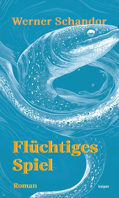Flüchtiges Spiel, Werner Schandor - Paperback - 9783903575417