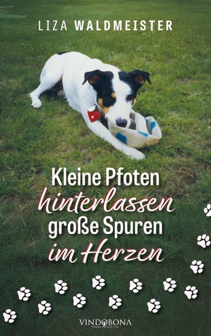 Kleine Pfoten hinterlassen große Spuren im Herzen, Liza Waldmeister - Paperback - 9783903579279