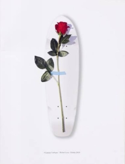 A Curious Catalogue, Michael Leon - Paperback - 9783905714920