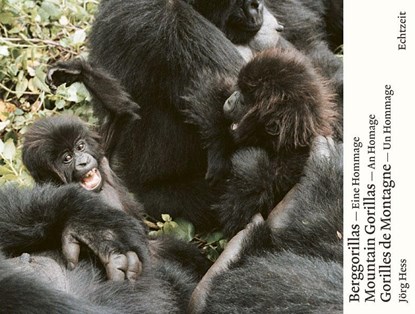 Berggorillas - Moutain Gorillas - Gorilles de Montagne, Jörg Hess - Gebonden - 9783905800333