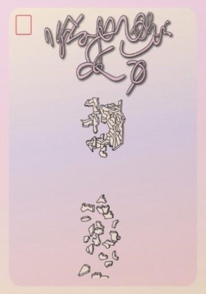 Infinite Recognition, Chloe Feinberg - Paperback - 9783905999976