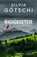 Rigigeister, Silvia Götschi - Paperback - 9783906287942