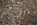 Steingesichter, Jean Willi - Paperback - 9783906803340