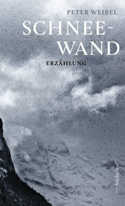 Schneewand, Peter Weibel - Ebook - 9783906907277