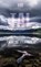 Das verschluckte Tal, Pascal Zehnder - Paperback - 9783907132227