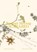 Scarabeo (EN), Samuel Herzog - Paperback - 9783907236925