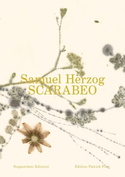Scarabeo (EN), Samuel Herzog - Paperback - 9783907236925