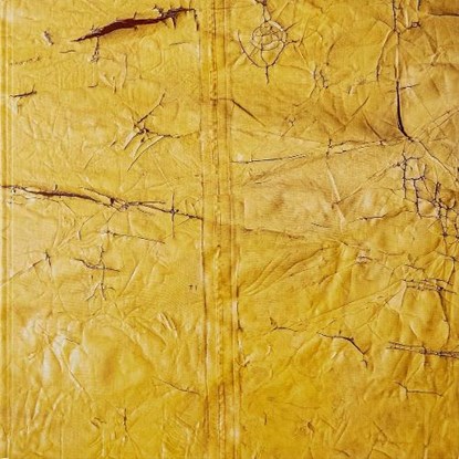 David Hammons, David Hammons - Gebonden - 9783907493137