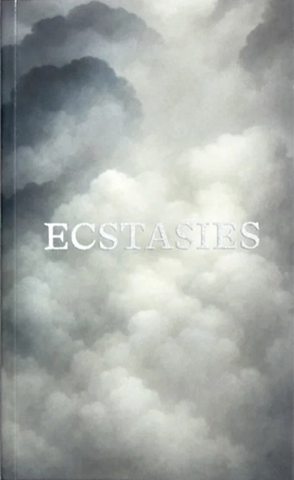 ECSTASIES, Benedikt Sarreiter ; Paul-Philipp Hanske - Paperback - 9783910265240