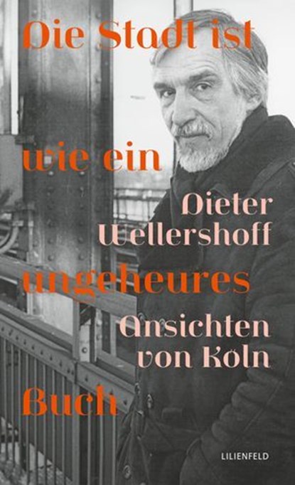 Die Stadt ist wie ein ungeheures Buch, Dieter Wellershoff ; Gabriele Ewenz - Ebook - 9783910266124