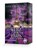 Kurz vor Paris, Agga Kastell - Paperback - 9783910279247
