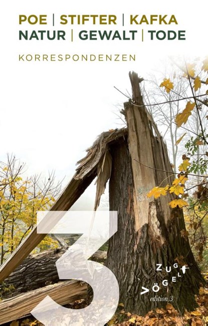 Poe - Stifter - Kafka: Natur - Gewalt - Tode, Jörg W. Rademacher - Paperback - 9783911704021