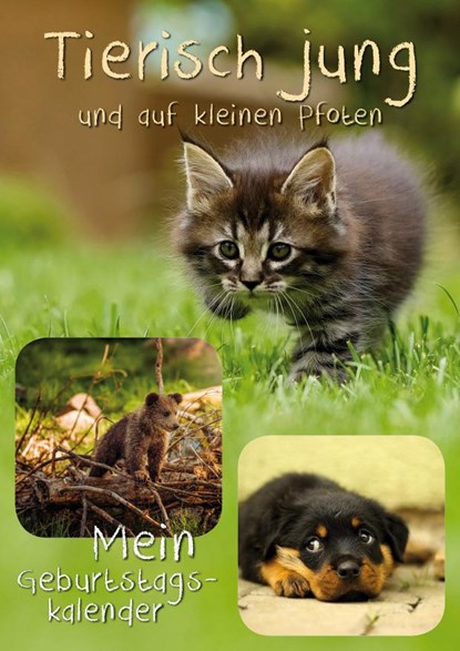 Geburtstagskalender Tierisch jung, Dieter Braue - Paperback - 9783925605338