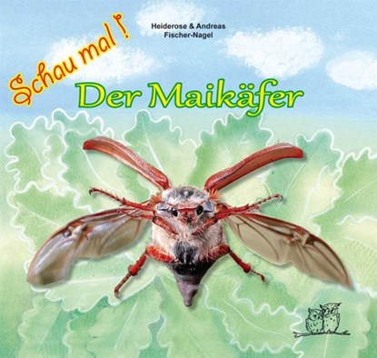 Der Maikäfer, Heiderose Fischer-Nagel ; Andreas Fischer-Nagel - Gebonden - 9783930038411