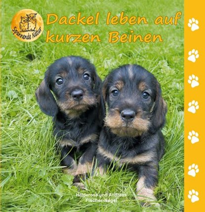Dackel leben auf kurzen Beinen, Heiderose Fischer-Nagel ; Andreas Fischer-Nagel - Gebonden - 9783930038558