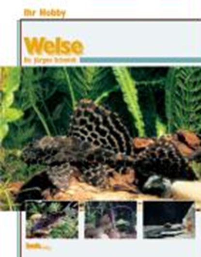 Ihr Hobby Welse, Jürgen Schmidt - Gebonden - 9783931792756