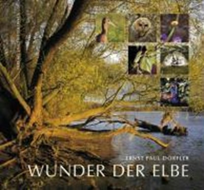 Wunder der Elbe, Ernst Paul Dörfler - Gebonden - 9783932863400