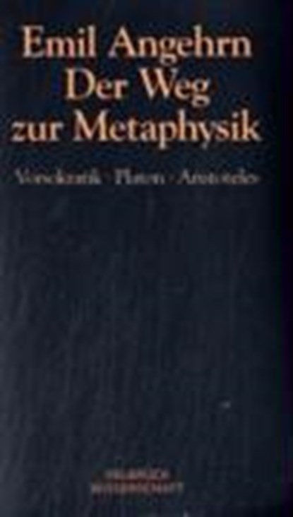 Der Weg zur Metaphysik, ANGEHRN,  Emil - Paperback - 9783934730953
