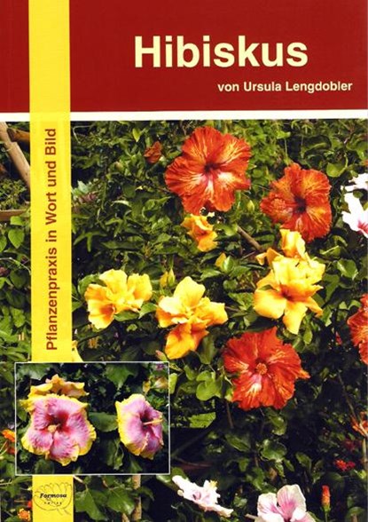 Hibiskus, Ursula Lengdobler - Paperback - 9783934733053