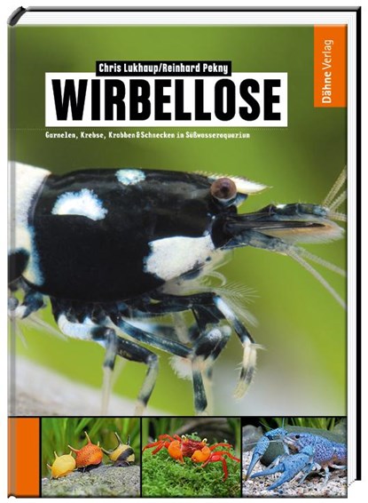 Wirbellose, Chris Lukhaup ; Reinhard Pekny - Gebonden - 9783935175593