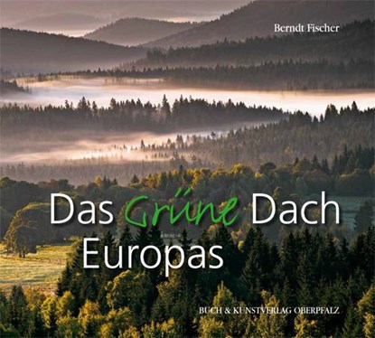 Das grüne Dach, Berndt Ficher - Gebonden - 9783935719858