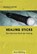 Healing Sticks, Thomas Ritter - Paperback - 9783935910637