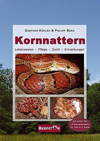 Kornnattern, Gunther Köhler ; Philipp Berg - Gebonden - 9783936180145