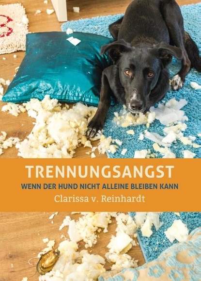 Trennungsangst, Clarissa von Reinhardt - Gebonden - 9783936188691