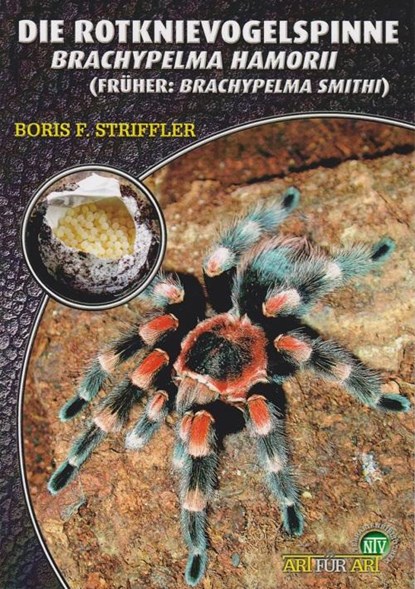 Die Rotknie Vogelspinne, Boris Striffler - Paperback - 9783937285108