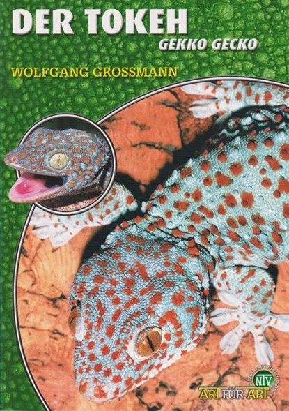 Der Tokeh, Wolfgang Grossmann - Paperback - 9783937285313
