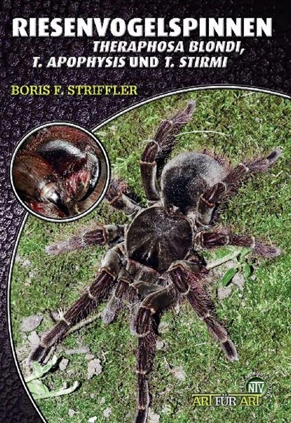 Riesenvogelspinnen, Boris F. Striffler - Paperback - 9783937285795