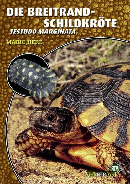 Die Breitrandschildkröte, Mario Herz - Paperback - 9783937285948